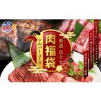 自治体にお任せ 肉 福袋 仙台牛ハンバーグ