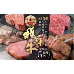 牛肉 ヒレ A5等級 飛騨牛 ステーキ 5回 隔月