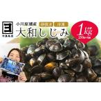 魚貝類 しじみ 砂抜き済みで手間いらず 冷凍