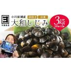 魚貝類 しじみ 砂抜き済みで手間いらず 冷凍