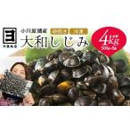 魚貝類 しじみ 砂抜き済みで手間いらず 冷凍