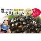 魚貝類 しじみ 6ヵ月定期便 砂抜き済みで手間いらず