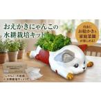 インテリア おえかきにゃんこの水耕栽培キット