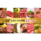 肉 ハンバーグ 定期便 全12回 常陸牛お楽しみ定期便
