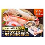 旬の鮮魚等 どんちっち浜田 輝き 鮮魚~最高級この男シリー…