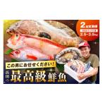 旬の鮮魚等 定期便 どんちっち浜田 極み 鮮魚