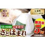 ふるさと納税 米 熊本県 玉東町  12ヶ月定期便 熊本県産 さとほまれ 無洗米 ご家庭用 定期便 5kg 《お申込み翌月から出荷》熊本県 玉名郡 玉東町 米 こめ コメ…