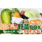 セット 詰合せ あつみの旬の野菜BOX定期便