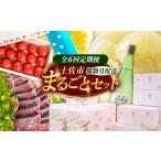 米 コシヒカリ 全6回定期便 まるごとセット