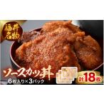 惣菜 レトルト 冷凍 福井名物ソースカツ丼セット 2人前