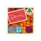 ふるさと納税 果物類 みかん 和歌山県 有田川町 年内発送 完熟早生 有田みかん 特秀 M 〜 SS サイズ 3kg 和歌山 南泰園 みかん