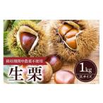 fu.... налог фрукты вид каштан Ibaraki префектура камень холм город 2026 год предшествующий предварительный заказ сырой каштан 1kg...... каштан ..kli2L размер 1 kilo пестициды не использование инсектицид не использование местного производства мир каштан сладкие каштаны фрукты...