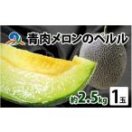 ふるさと納税 メロン メロン青肉 福井県 南越前町 先行予約 青肉メロンのペルル 2026年6月下旬から順次発送 ペルルメロン 青肉メロン 果物 予約 福井県 南越…
