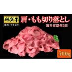 牛肉 モモ 隔月2回定期便 佐賀牛 肩 もも切り落とし 500g
