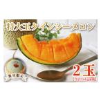 ふるさと納税 メロン メロン赤肉 茨城県 行方市  2026年5月より順次発送 特大玉クインシーメロン(2玉)｜メロン クインシーメロン フルーツ 特大 果物 くだもの…