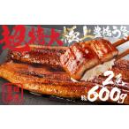 ふるさと納税 うなぎ 愛知県 豊橋市 豊橋うなぎ 蒲焼 特大サイズ 2尾 夏目商店 蒲焼 国産 国産うなぎ 蒲焼 長焼 ウナギ