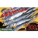 魚貝類 特上品 うるめ いわし 300g