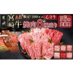 牛肉 焼肉 バーベキュー 200セット
