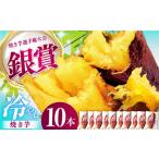 野菜類 サツマイモ 焼き芋 紅はるか 冷やし焼き芋 10本