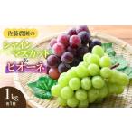 ショッピングふるさと納税 シャインマスカット ふるさと納税 ぶどう マスカット 山形県 鶴岡市  令和8年産先行予約 シャインマスカット・ピオーネ (各1房ずつ) 約1kg　佐藤農園