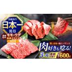 牛肉 モモ 6回定期便 長崎和牛 焼肉用 赤身スライス600g