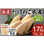 野菜類 i1056 たけのこ水煮 穂先のみ 計1.7kg