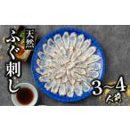 ふるさと納税 旬の鮮魚等 大阪府 松原市 天然 ふぐ 刺身 3〜4人前 指定日可 冷凍 真空 解凍するだけ お手軽 まふぐ 炙り たたき 大皿 てっさ 国産 フグ刺し 刺…