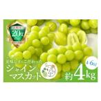 ぶどう マスカット 生産力向上共励会 特別賞受賞