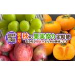 果物類 ぶどう 定期便3回 訳あり 秋の果実祭り定期便