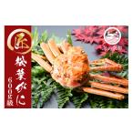 ふるさと納税 カニ 松葉ガニ 京都府 宮津市 茹で松葉蟹 1杯（600g級）〈11月中旬〜2026年3月末頃発送〉 蟹 カニ かに 松葉蟹 松葉ガニ ズワイガニ ボイル No.5…