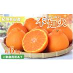 みかん 柑橘類 デコポン ご 訳あり 紀州 有田産