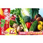 土佐季節の野菜詰め合せセット 毎月 野菜