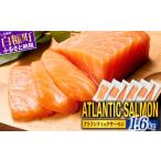 ふるさと納税 魚貝類 サーモン 北海道 白糠町 TOWA SALMON アトランティック サーモン 1.6kg 鮭 サーモン さけ シャケ しゃけ sake カルパッチョ ソテー レア…