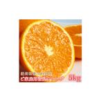 みかん 柑橘類 オレンジ ご 濃厚 有田産清見オレンジ約5kg