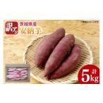 野菜類 サツマイモ 10月中旬以降 訳アリ