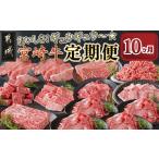 牛肉 セット おいしさギュウギュウ 宮崎牛定期便
