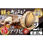 ふるさと納税 魚貝類 アワビ 千葉県 勝浦市 数量限定 天然『活』アワビ (赤) 2kg ( 6〜10個 )《7月中旬-9月上旬頃出荷》 寺田水産 配送不可地域:離島・北海…