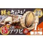 ふるさと納税 魚貝類 アワビ 千葉県 勝浦市 数量限定 天然『活』アワビ (赤) 1kg ( 3〜5個 )《7月中旬-9月上旬頃出荷》 寺田水産 配送不可地域:離島・北海道…