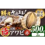 ふるさと納税 魚貝類 アワビ 千葉県 勝浦市 数量限定 天然『活』アワビ (赤) 500g ( 2個 )《7月中旬-9月上旬頃出荷》 寺田水産 配送不可地域:離島・北海道・…
