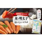 魚貝類 明太子 2回定期便 特別 セット さがびよりと明太子
