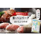 牛肉 ハンバーグ 2回定期便 特別 セット さがびよりと佐賀…