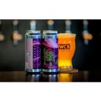 ふるさと納税 ビール 地ビール 静岡県 静岡市 West Coast Brewing クラフトビール「Starwatcher」 500mL缶×4本Set 配送不可：離島