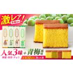 菓子 カステラ 長崎街道カステラ 4本セット