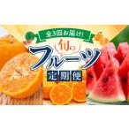 みかん 柑橘類 定期便 全3回 紀州 和歌山産