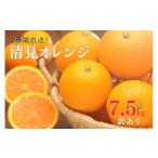 みかん 柑橘類 オレンジ 清見オレンジ 訳あり 7.5kg