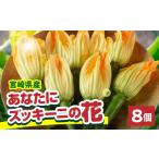 野菜類 あなたにズッキーニの花 8個