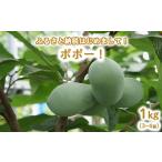 ふるさと納税 果物類 栃木県 上三川町 先行予約 ふるさと納税はじめまして ポポー 1kg入(3個から4個入) 北海道・沖縄・離島への配送不可 2025年8月下旬〜9…