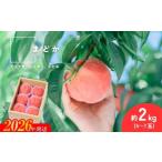 ふるさと納税 もも 福�