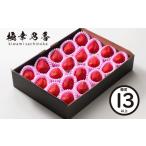 ふるさと納税 いちご 熊本県 宇土市 74-49_03 3月発送 園村苺園　 糖度13度以上保証 ブランド苺「極幸乃香（きわみさちのか）」 3月発送