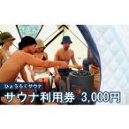 体験チケット サウナ利用券 3000円分